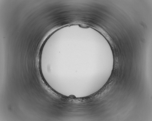 X0000111390955200908071253