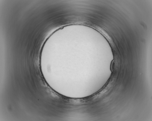 X0000111390956200908071253