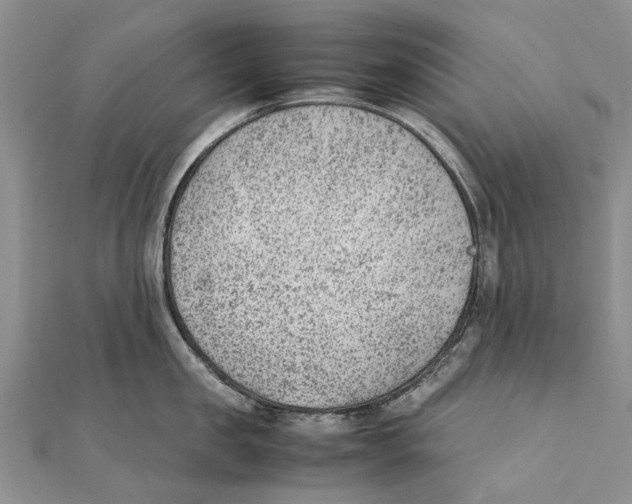 X0000111390957200908071253
