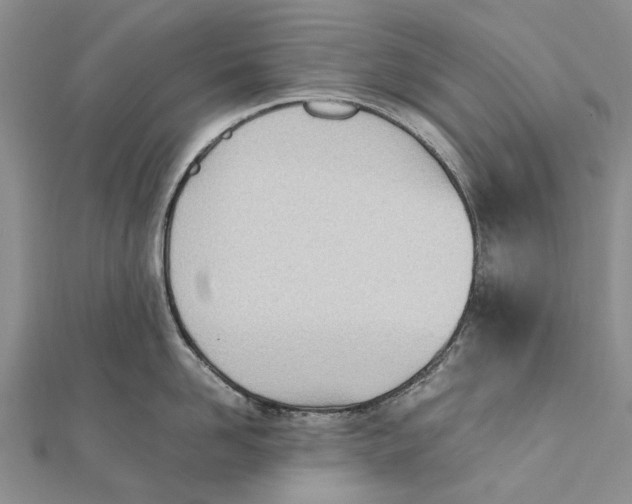 X0000111390958200908071253