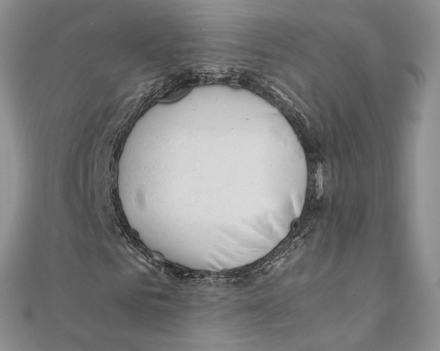 X0000111390961200908071252