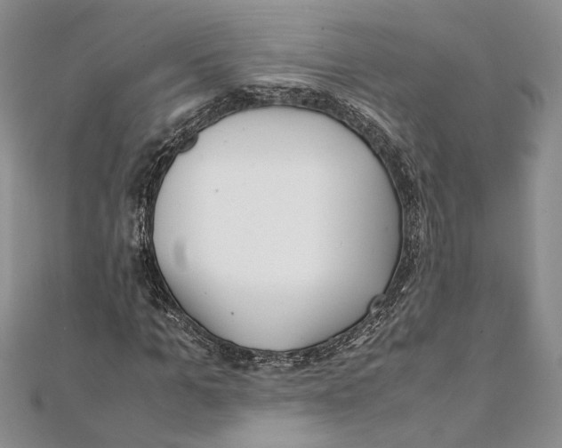 X0000111390965200908071252