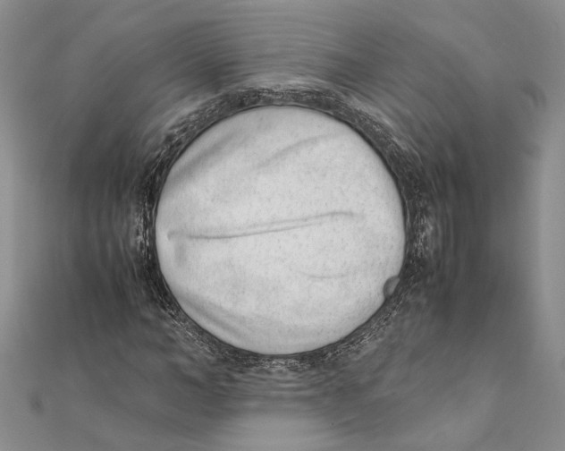 X0000111390966200908071252