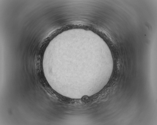X0000111390968200908071252