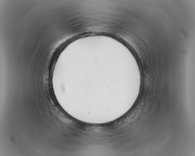 X0000111390971200908071252