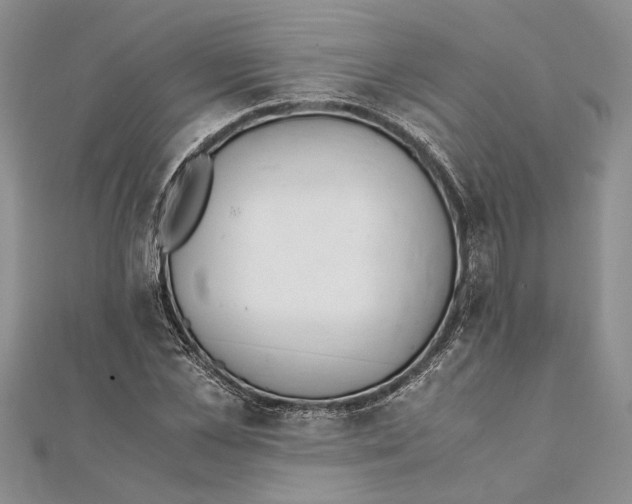 X0000111390973200908071252