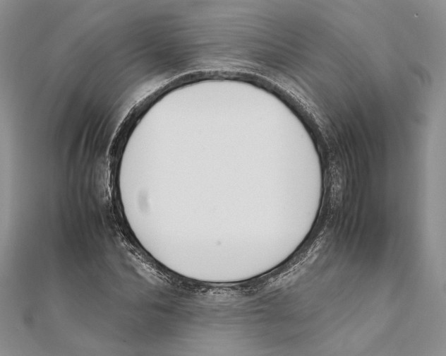 X0000111390974200908071252