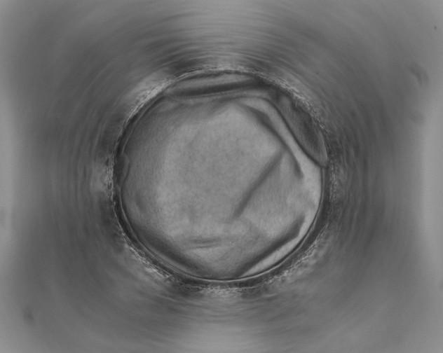 X0000111390977200908071252
