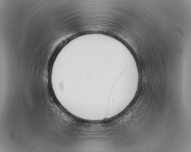 X0000111390979200908071252