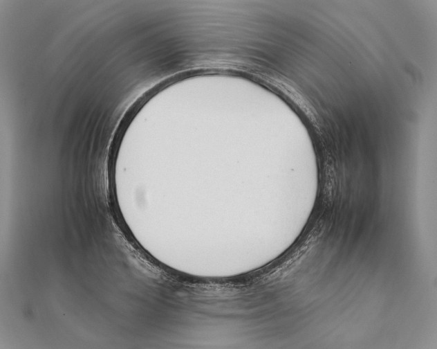 X0000111390980200908071252