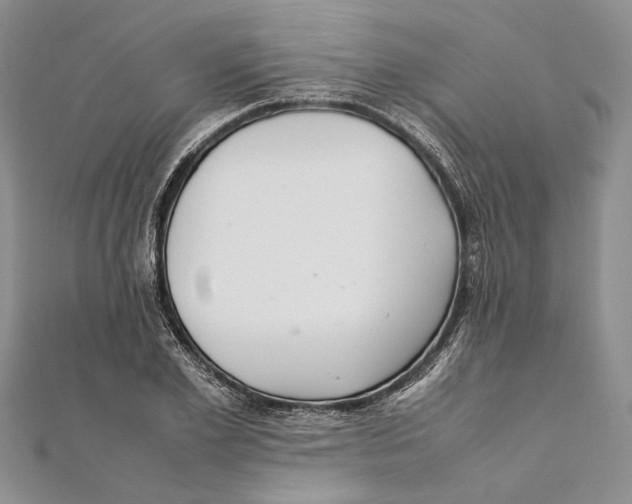 X0000111390981200908071252