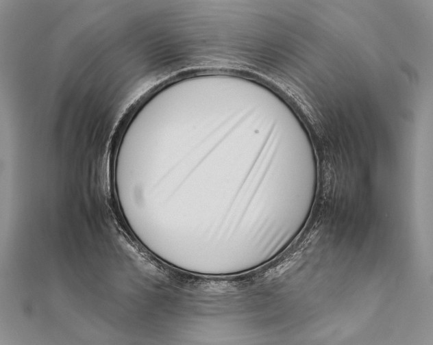 X0000111390982200908071252