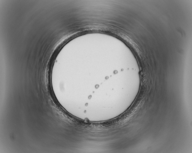 X0000111390983200908071252