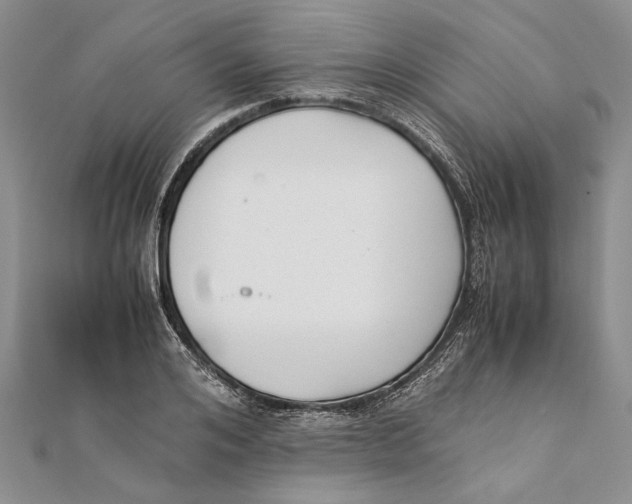 X0000111390984200908071252