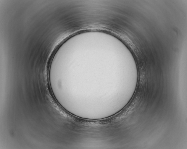 X0000111390990200908071252