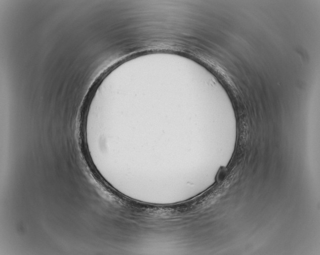 X0000111390991200908071252