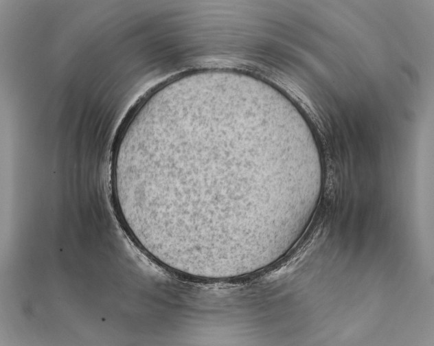 X0000111390992200908071252