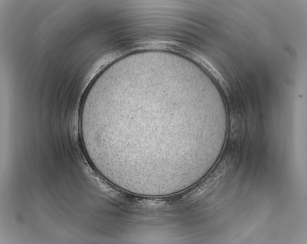X0000111390994200908071252