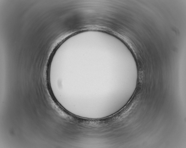 X0000111390995200908071252