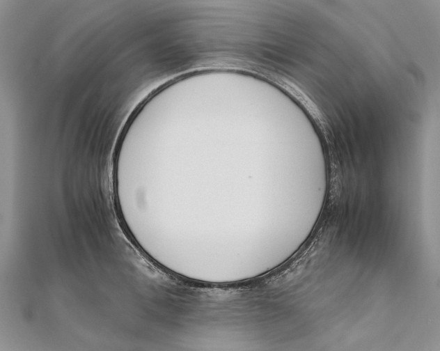X0000111390996200908071252