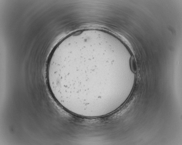X0000111390997200908071252