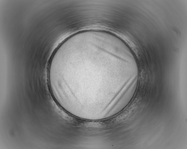 X0000111390998200908071252