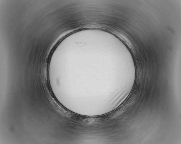 X0000111391000200908071251