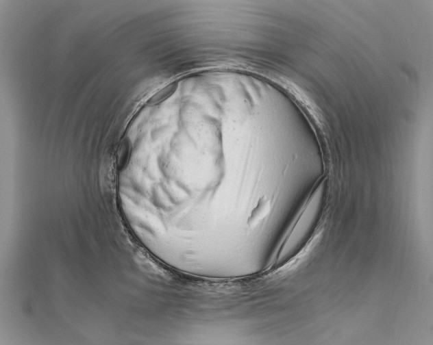 X0000111391001200908071251