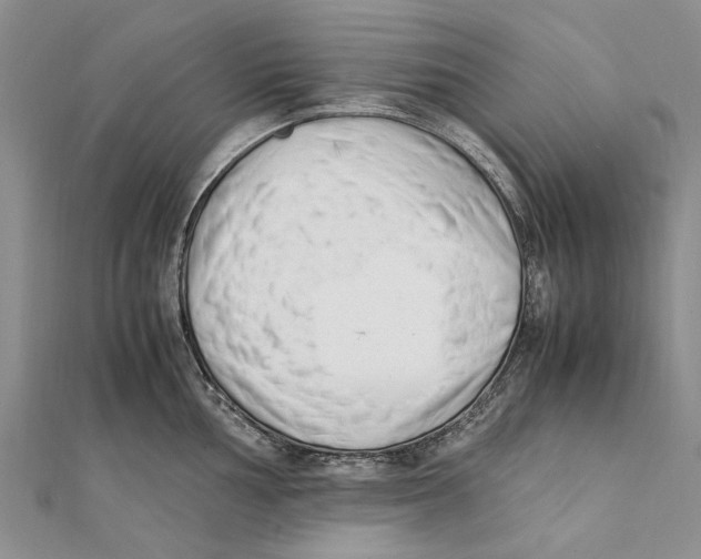 X0000111391002200908071251