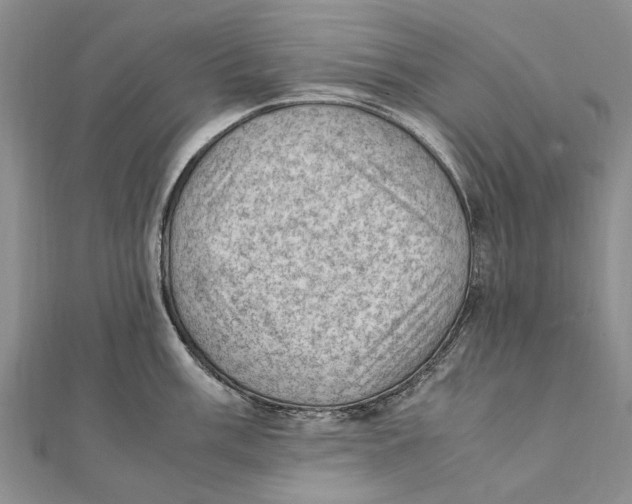 X0000111391003200908071251