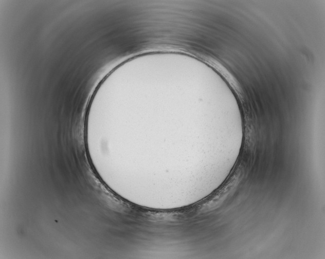 X0000111391004200908071251
