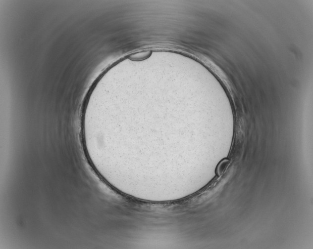 X0000111391005200908071251