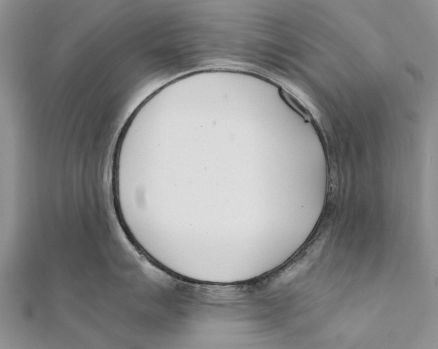 X0000111391007200908071251
