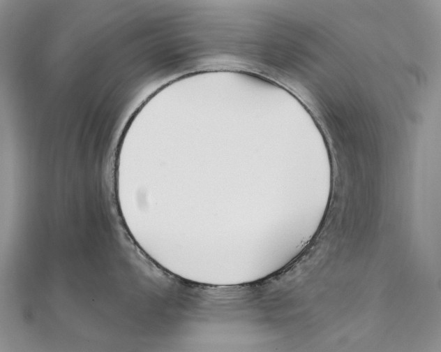 X0000111391008200908071251