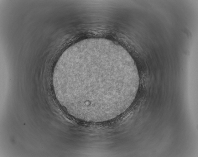 X0000111391009200908071251