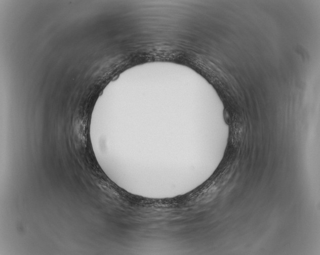 X0000111391010200908071251