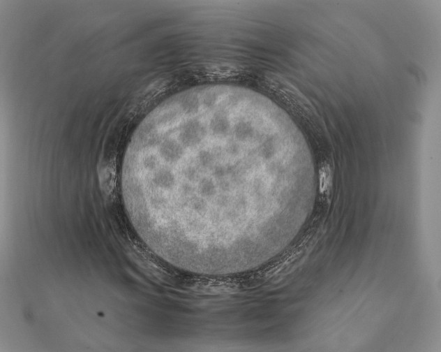 X0000111391011200908071251