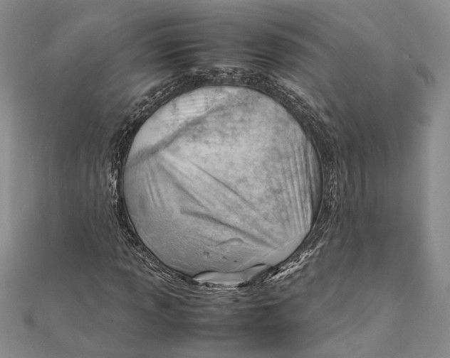 X0000111391013200908071251