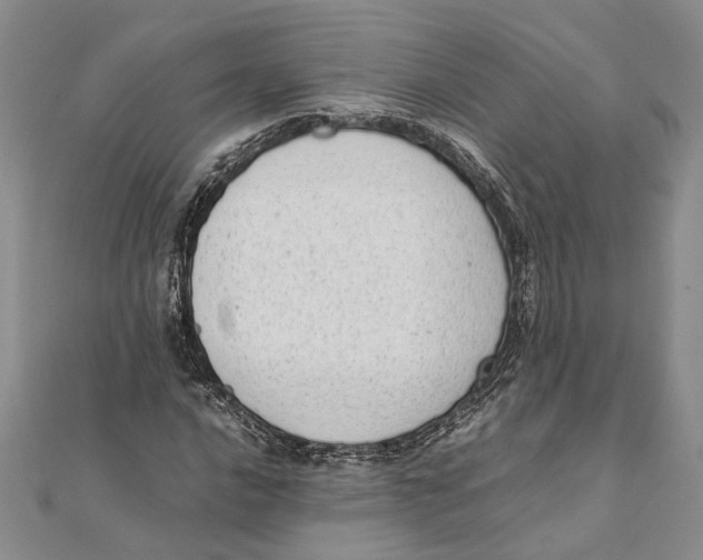 X0000111391016200908071251