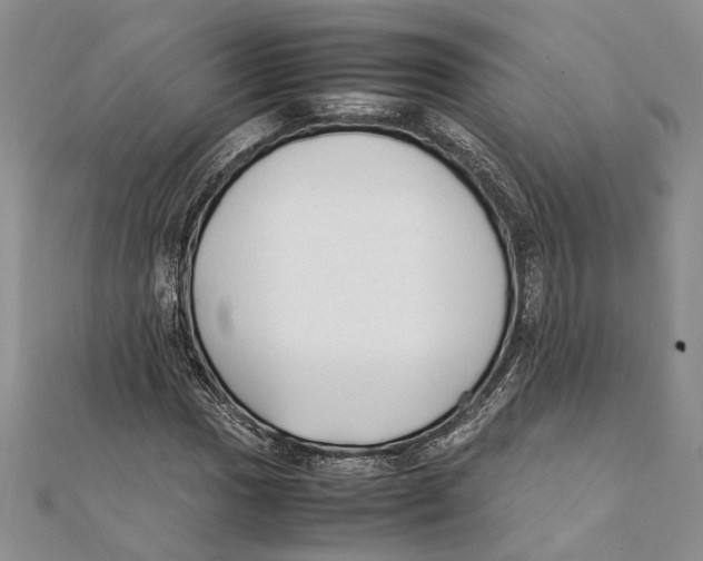 X0000111391017200908071251