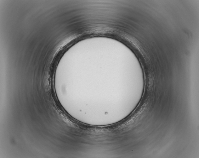 X0000111391018200908071251