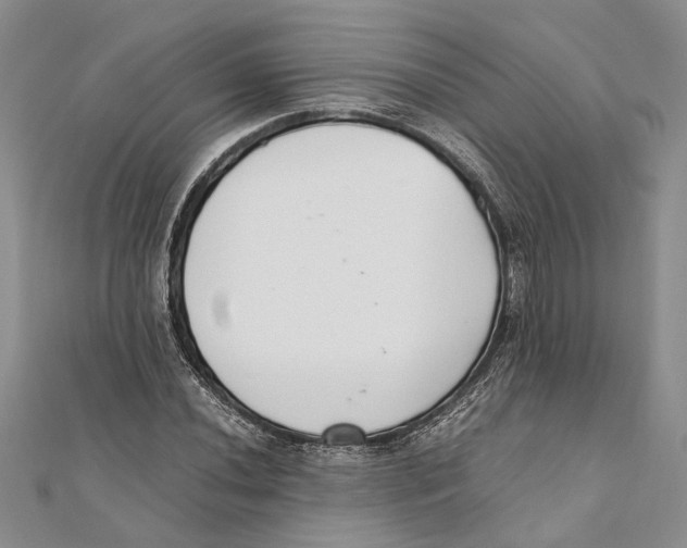 X0000111391020200908071251