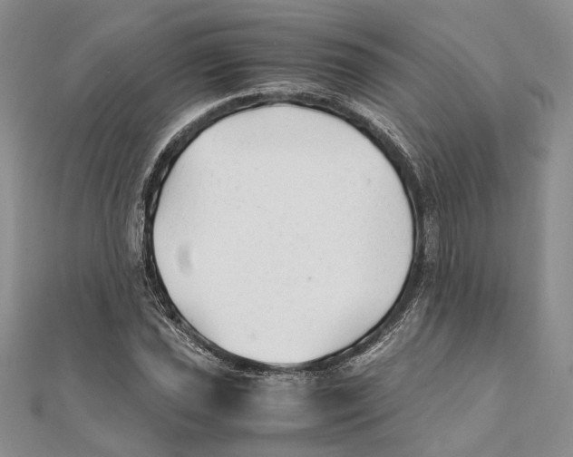 X0000111391021200908071251