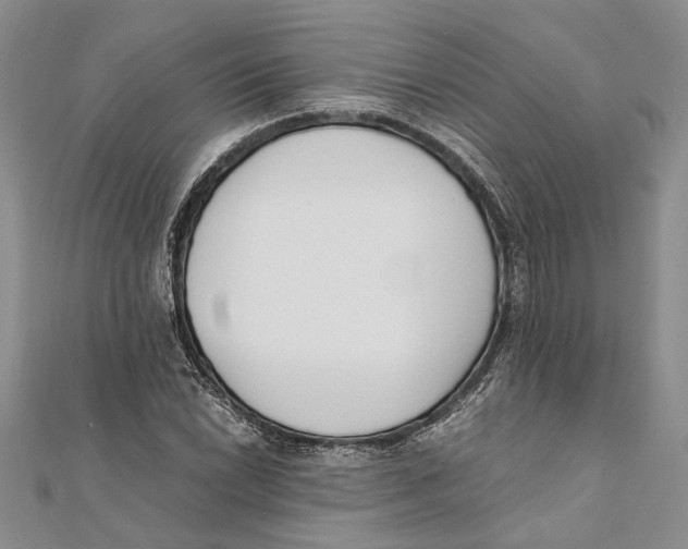 X0000111391022200908071251