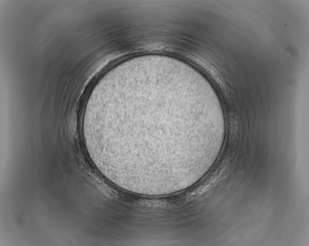 X0000111391023200908071251