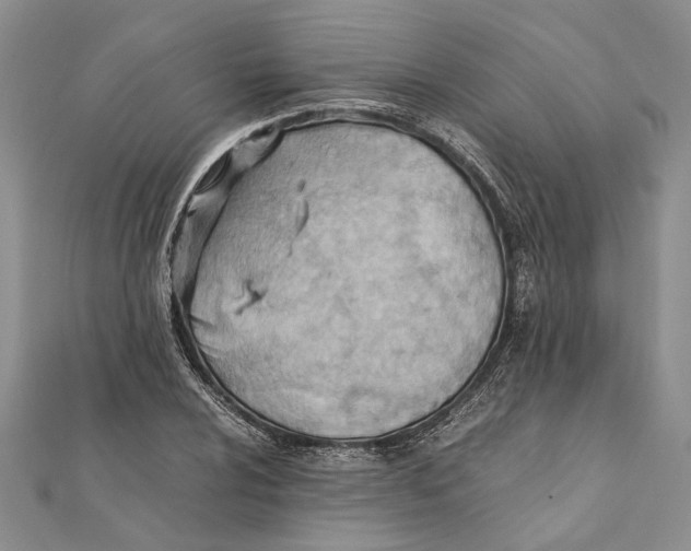 X0000111391024200908071251