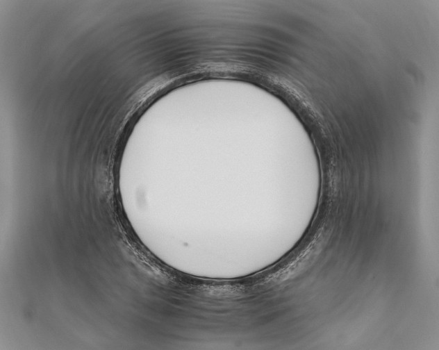 X0000111391025200908071251