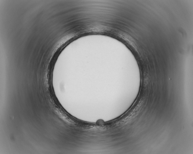 X0000111391026200908071251