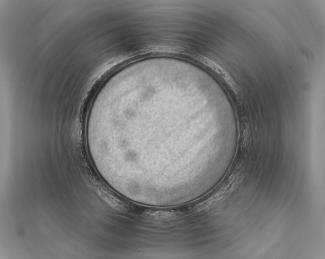 X0000111391027200908071251