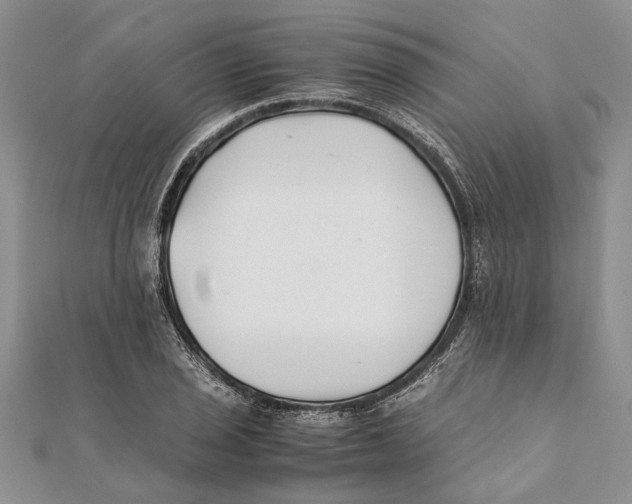 X0000111391029200908071251